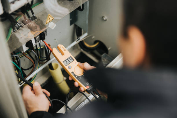 Best Electrician for Home Renovation  in Ly Lake, IL