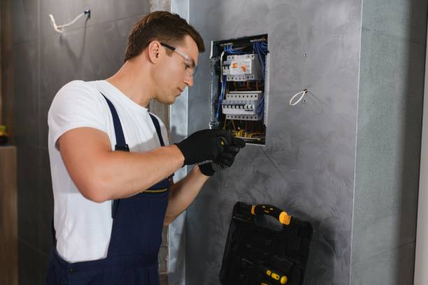 Best 24-Hour Electrician  in Ly Lake, IL