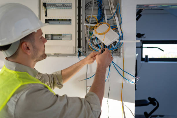 Best Affordable Electrician  in Ly Lake, IL