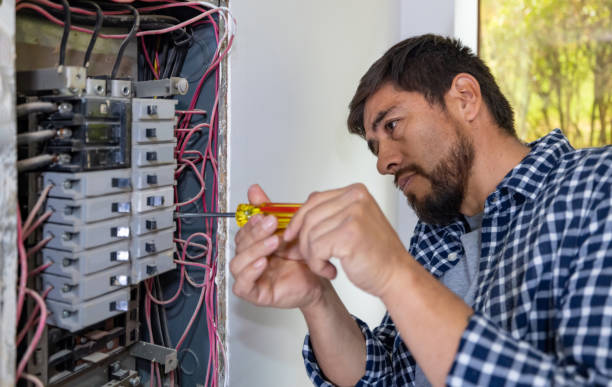 Best Home Electrical Repair  in Ly Lake, IL